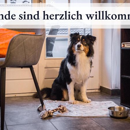 Blumenvilla 8 Mit Sauna Und Garten Schneverdingen Zewnętrze zdjęcie